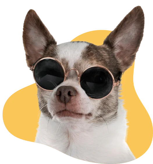 Misión y visión Fundación Manchitas